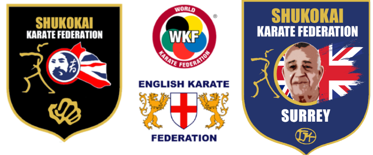 Kimura Shukokai Karate Surrey Logo